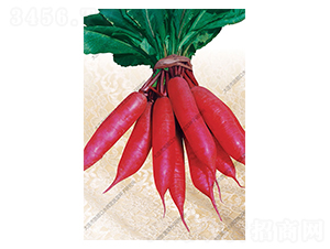 С���-�}���N��-ˮ���I