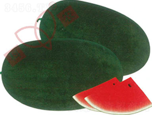 ���r(n��ng)�ڎ�-���ϷN��-���r(n��ng)�N�I(y��)