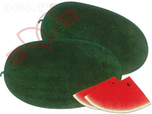 ���r(n��ng)�ڎ���������-���ϷN��-���r(n��ng)�N�I(y��)