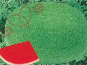 �G���S-���ϷN��-���r(n��ng)�N�I(y��)