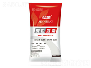 ħ������-����-�\������