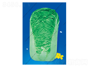 ˮ���I15̖-�ײ˷N��-ˮ���I