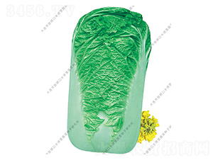 ˮ���I�ޟo��-�ײ˷N��-ˮ���I