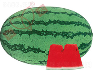 ���r(n��ng)��̖(h��o)-���ϷN��-���r(n��ng)�N�I(y��)