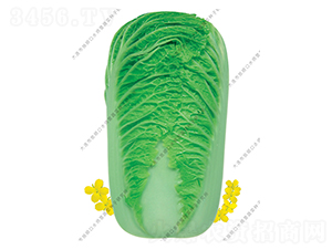 ˮ���I��ζ-�ײ˷N��-ˮ���I