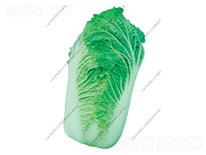 ˮ���I2̖(h��o)-�ײ˷N��-ˮ���I