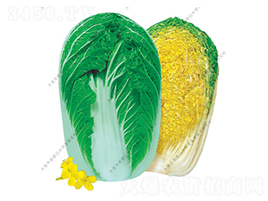 ���60-�ײ˷N��-ˮ���I