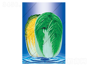 ����58-�ײ˷N��-ˮ���I