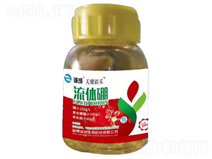 ���w��-��ҫ����-�\������