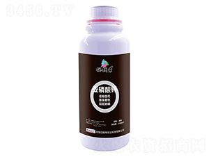 �������-�u�X������