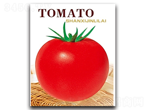 �t��-���ѷN��-�x���