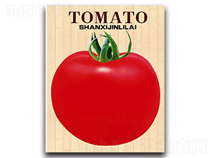 �t��-���ѷN��-�x���