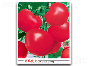 �x��ϼ��-���ѷN��-�x���