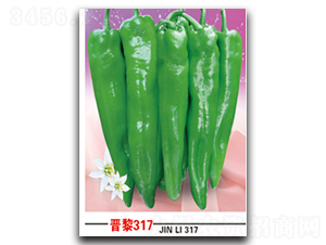 �x��317-�����N��-�x���