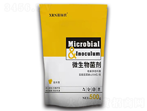 ΢�������-ϲ���r