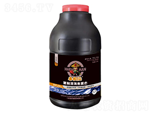 ø����~����-�S�Ղb-����ֲ��