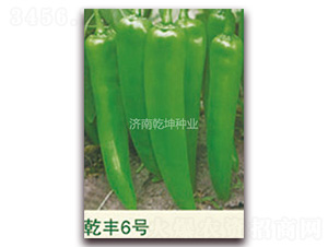 Ǭ�S6̖-�����N��-Ǭ���N�I(y��)