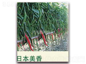 �ձ�����-�����N��-Ǭ���N�I(y��)