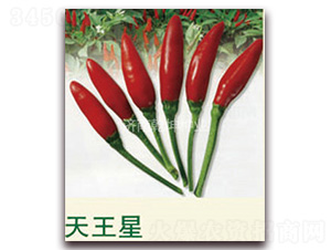 ������-�����N��-Ǭ���N�I(y��)