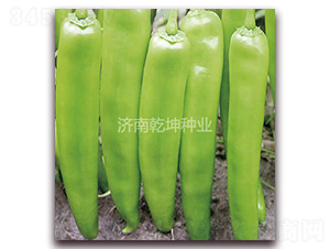 Ǭ��18̖-�����N��-Ǭ���N�I(y��)