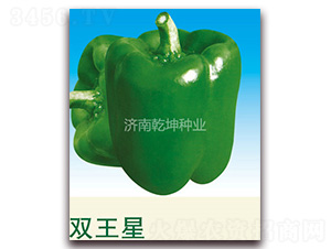 �p����-�𽷷N��-Ǭ���N�I(y��)