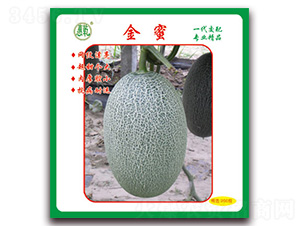 ����-��ϷN��-Ǭ���N�I(y��)