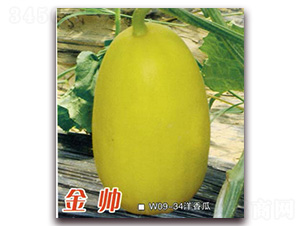 ����-��ϷN��-Ǭ���N�I(y��)