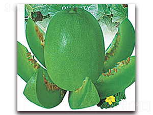 �G����-��ϷN��-Ǭ���N�I(y��)