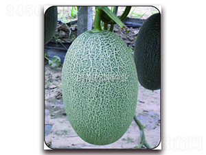 ����-���ܹϷN��-Ǭ���N�I(y��)