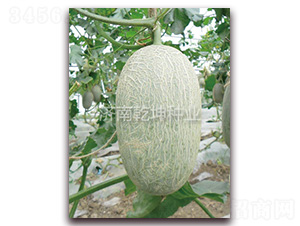 �A��(r��n)�L(zh��ng)����-���ܹϷN��-Ǭ���N�I(y��)