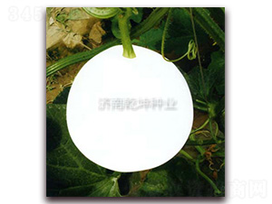 �A��-��ϷN��-Ǭ���N�I(y��)