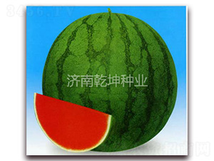 �o(w��)��һ̖(h��o)-���ϷN��-Ǭ���N�I(y��)