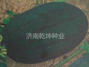 �_(t��i)�����������-���ϷN��-Ǭ���N�I(y��)