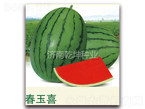 ����ϲ-���ϷN��-Ǭ���N�I(y��)