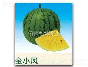 ��С�P-���ϷN��-Ǭ���N�I(y��)