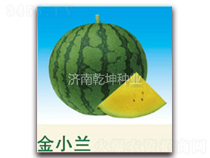 ��С�m-���ϷN��-Ǭ���N�I(y��)