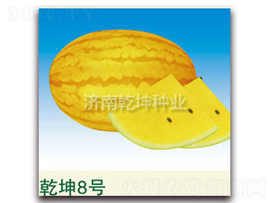 Ǭ��8̖(h��o)-���ϷN��-Ǭ���N�I(y��)