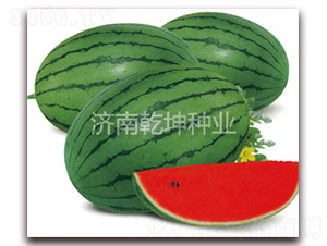 ��tϲ-���ϷN��-Ǭ���N�I(y��)