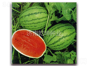 ������ʹ-���ϷN��-Ǭ���N�I(y��)