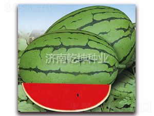 �ļ��S-���ϷN��-Ǭ���N�I(y��)