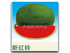 �¼t�-���ϷN��-Ǭ���N�I(y��)