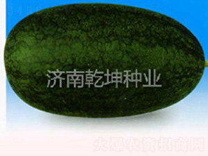 ������-���ϷN��-Ǭ���N�I(y��)