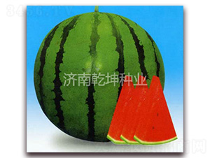 �OƷ�P��-���ϷN��-Ǭ���N�I(y��)