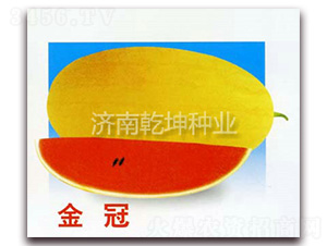 ���-���ϷN��-Ǭ���N�I(y��)