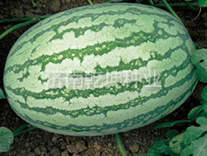 ��(y��u)��5̖(h��o)-���ϷN��-Ǭ���N�I(y��)