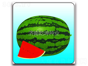 ���|(zh��)����-���ϷN��-Ǭ���N�I(y��)