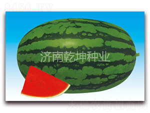 ���A������̖(h��o)-���ϷN��-Ǭ���N�I(y��)