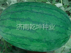 �߿��°�̖(h��o)-���ϷN��-Ǭ���N�I(y��)