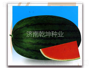 �ش�߿�888-���ϷN��-Ǭ���N�I(y��)