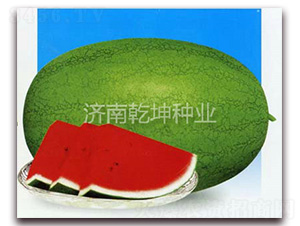 Ǭ����-���ϷN��-Ǭ���N�I(y��)